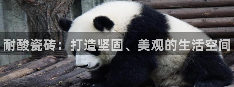 万事娱乐app下载