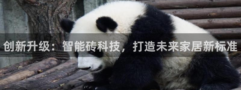 万事娱乐平台怎么样：创新升级：智能砖科技，打造未来家居新标准