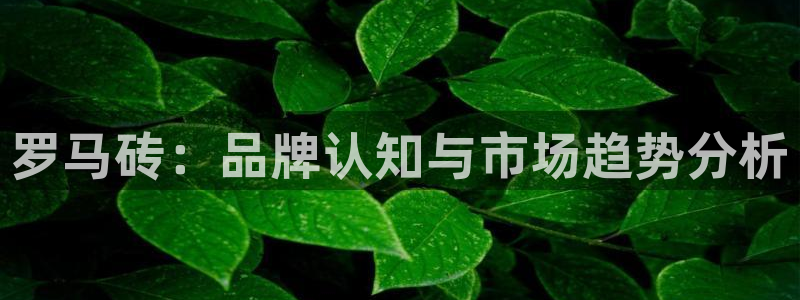 万事娱乐平台登录入口：罗马砖：品牌认知与市场趋势分析