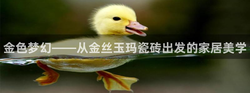 娱乐万事君