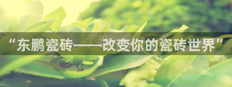 万事大吉娱乐项目