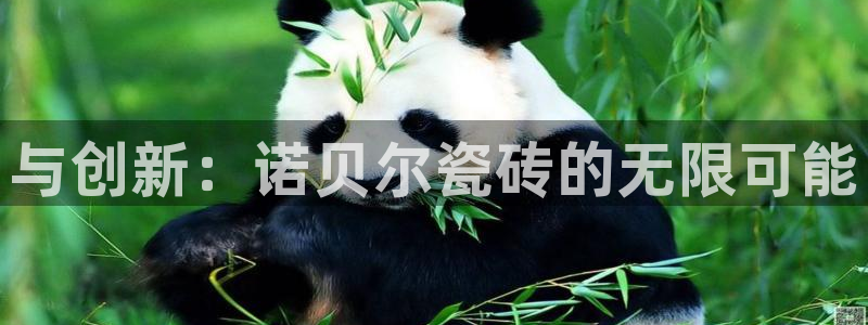 万事成娱乐