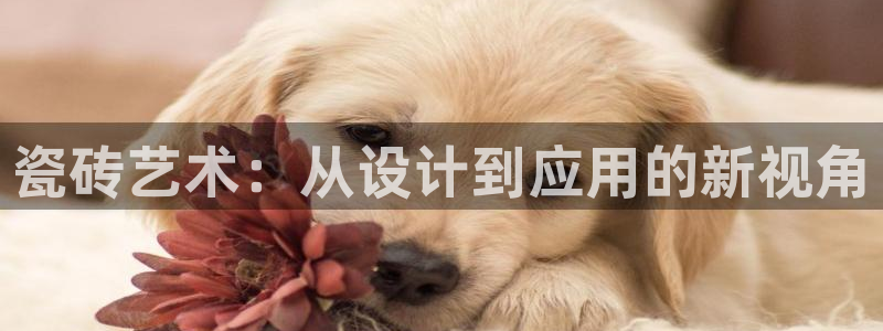 万事达娱乐荣誉21