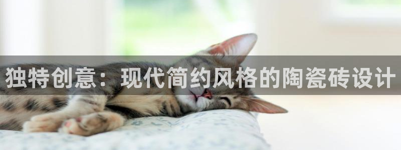 万事娱乐qv87555