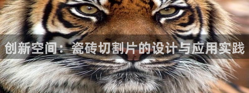 万事达娱乐娱乐平台