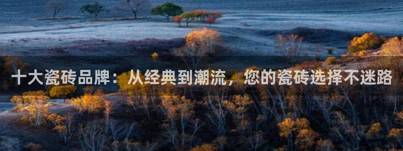 万事娱乐首页入口网站