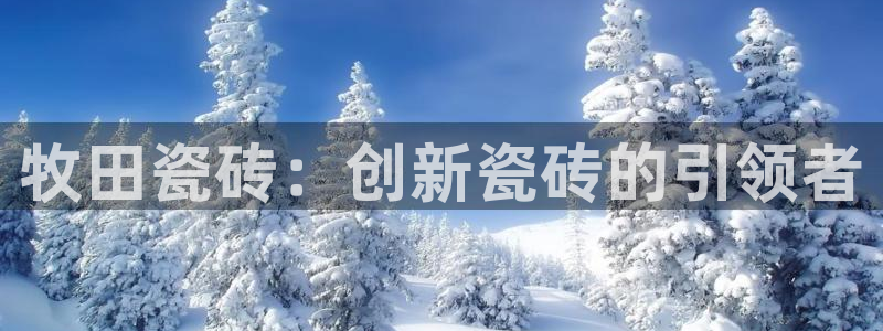 万事达娱乐举55312