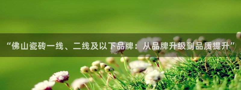 万事娱乐有漏洞么