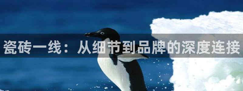 万事达娱乐连55312