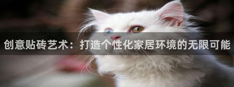 万事娱乐344272