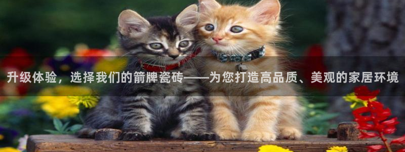 万事达娱乐设施