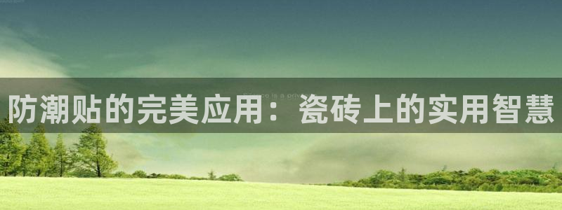 万事达娱乐何善良
