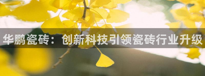 万事娱乐非同凡享