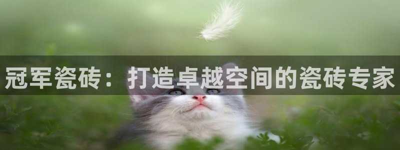 万事娱乐检测