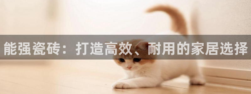 万事娱乐招商主管薪资