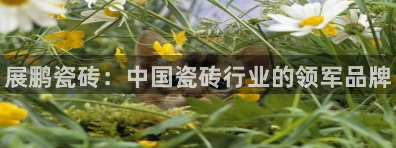万事娱乐方案编号