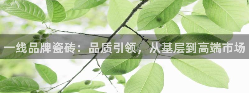 万事娱乐有漏洞么