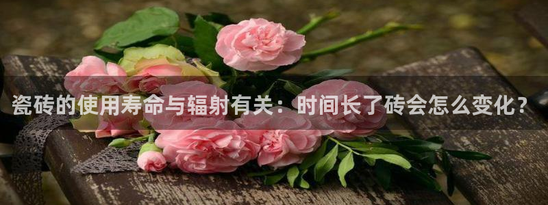 万事娱乐主管年薪