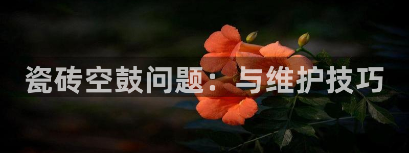 万事达娱乐见55312