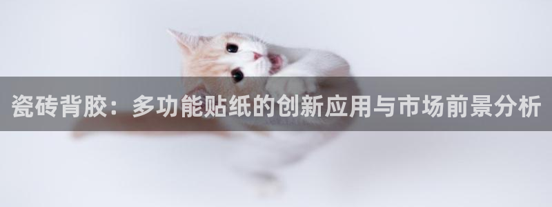 万事娱乐总裁简介