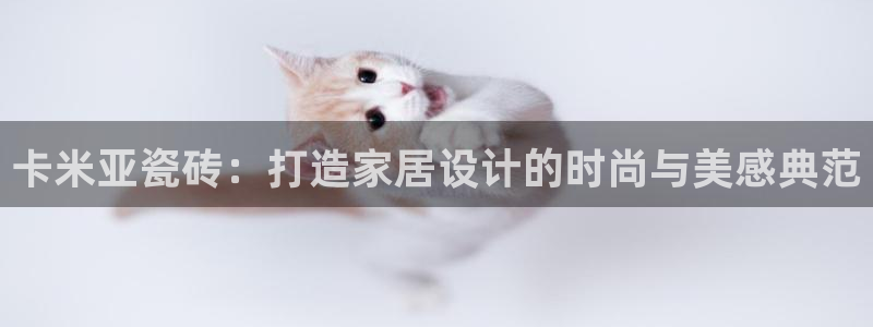 万事娱乐在线登陆