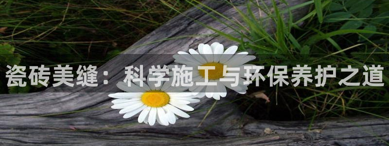 万事达娱乐网站
