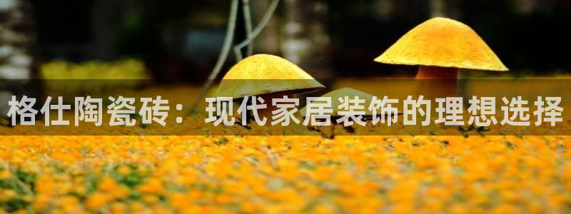 万事达娱乐筘55312