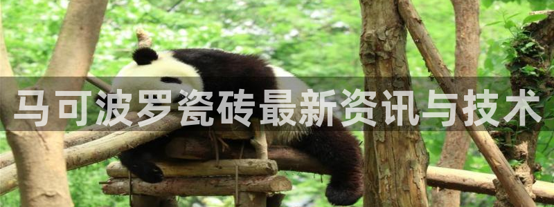 娱乐万事达