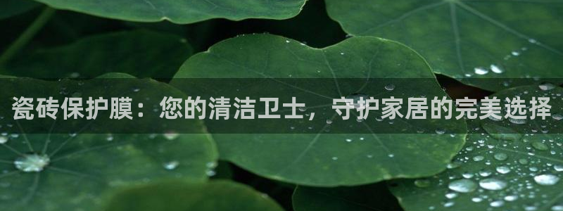 娱乐万事君