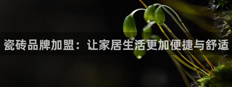 万事娱乐