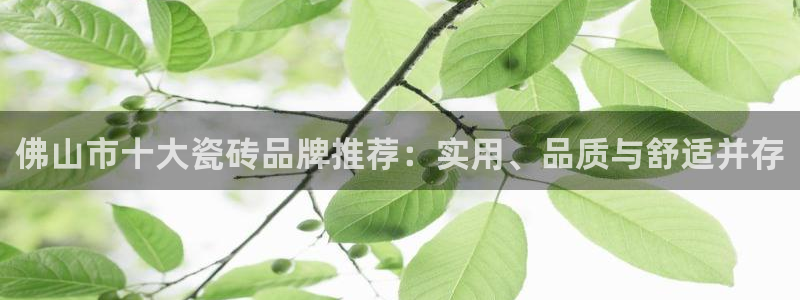 万事娱乐344272