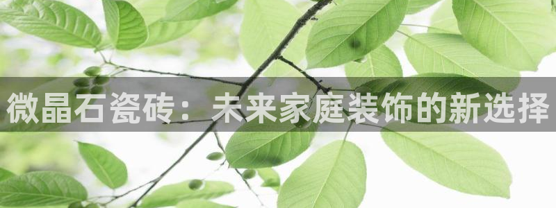 万事娱乐首页入口在哪