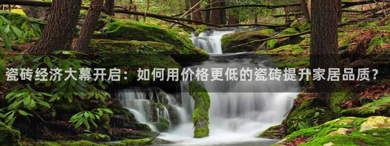 万事达娱乐股东