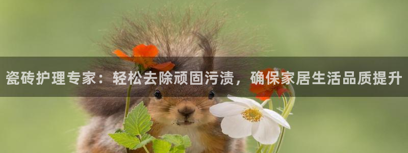 万事达娱乐指尖年