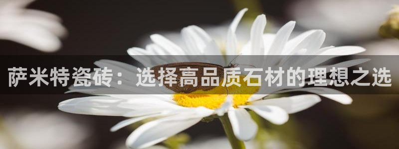 万事娱乐主管薪资待遇