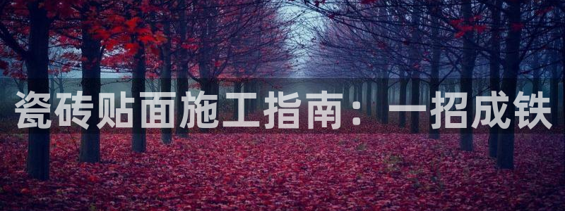 万事达娱乐指尖年