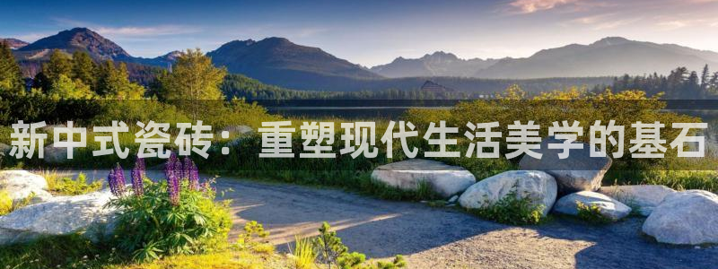 万事达娱乐b 判官