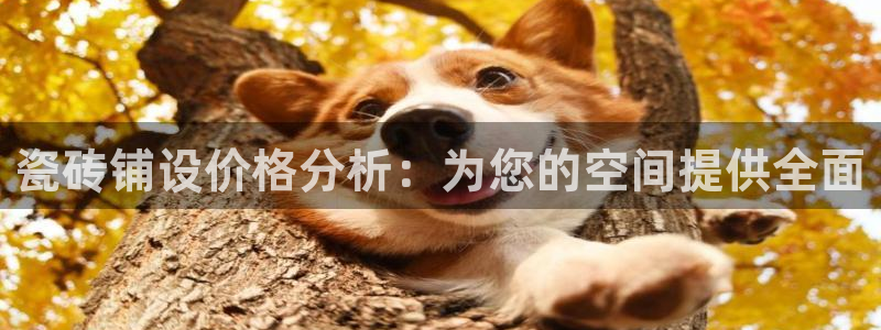 万事达娱乐招商
