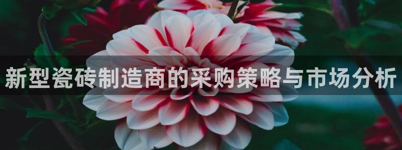 人间万事屋娱乐