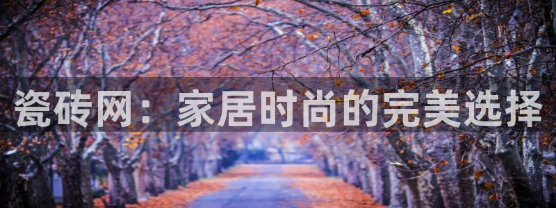 万事达娱乐董善良