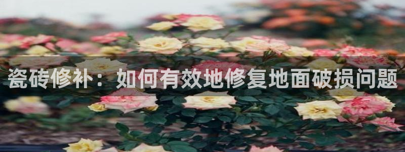 万事屋卡牌娱乐