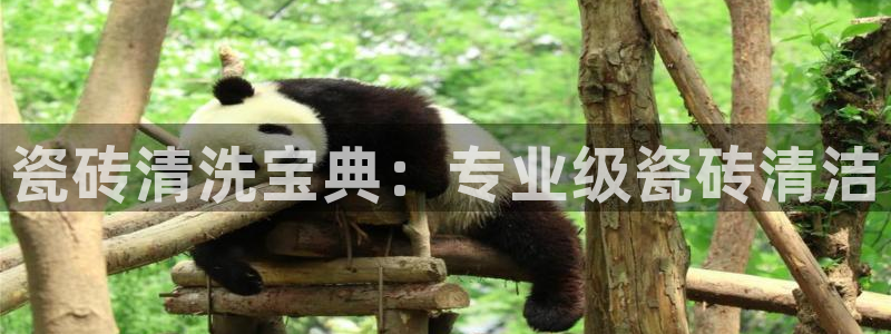 万事如意娱乐平台