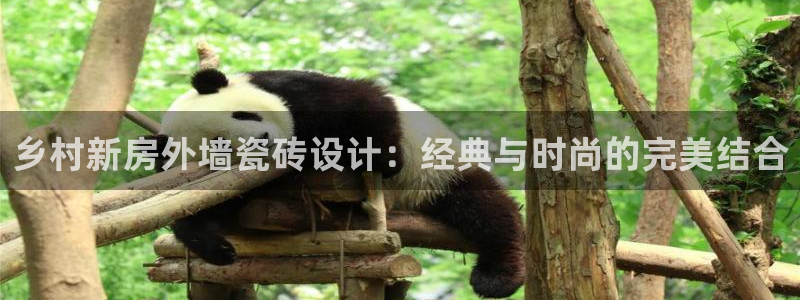 万事大吉娱乐项目