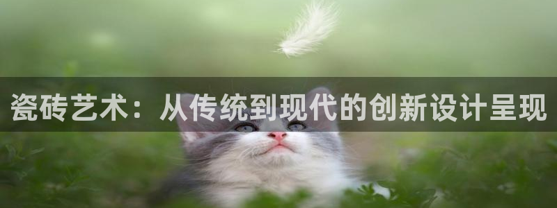 娱乐万事通直播