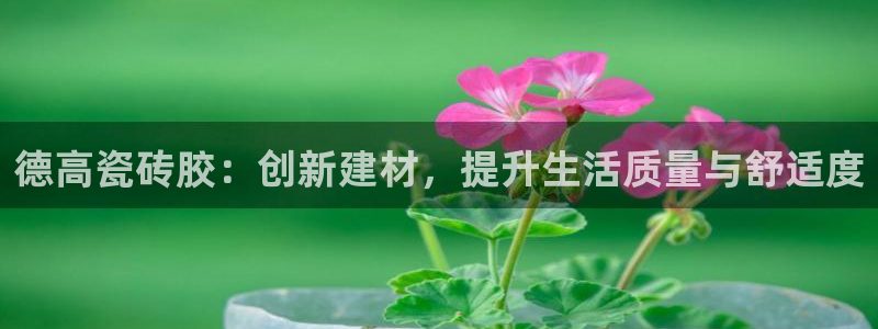 万事达娱乐a实力56262