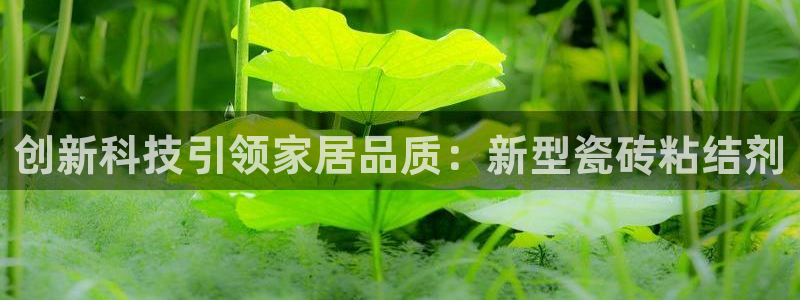 万事娱乐