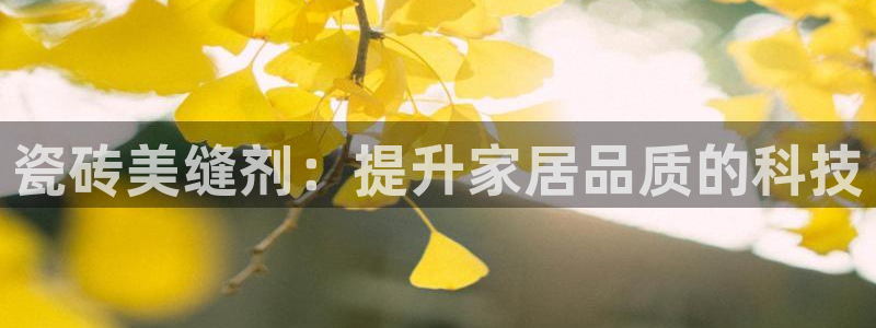 娱乐万事屋张宇