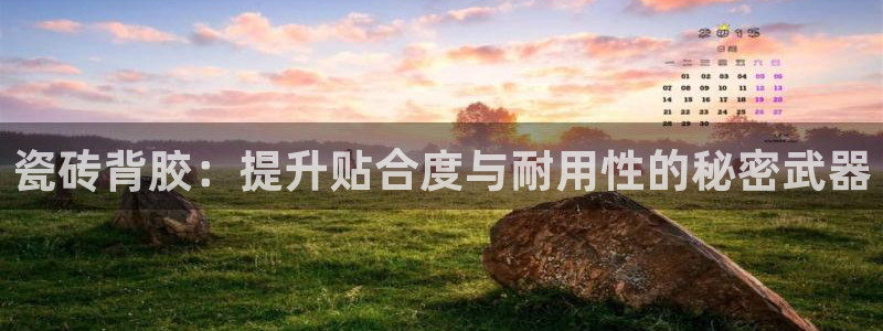 万事娱乐发展历程