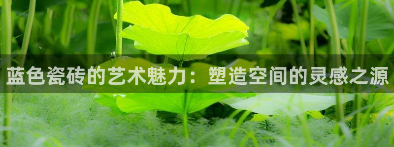 万事平台娱乐