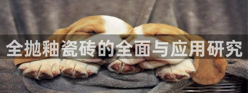 娱乐万事通现状